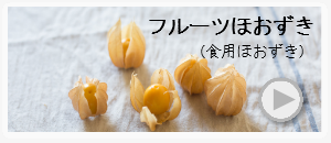 フルーツほおずき(食用ほおずき)