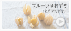フルーツほおずき(食用ほおずき)