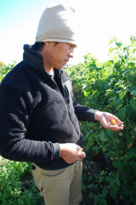 八ヶ岳ナチュラルファーマーズ代表 伊藤 裕己(いとう ひろみ)