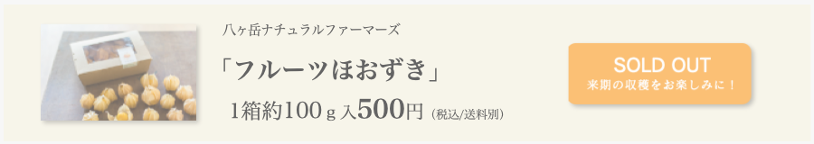 八ヶ岳ナチュラルファーマーズ「フルーツほおずき」1箱約100g入 500円売り切れ