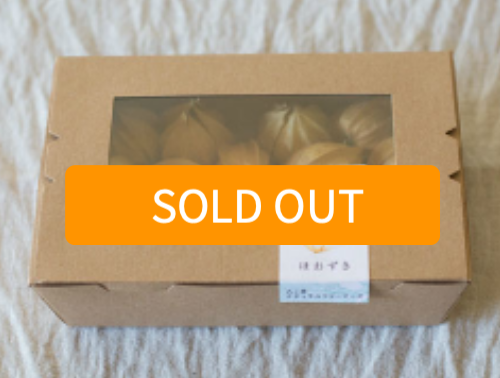 八ヶ岳フルーツほおずき売り切れ